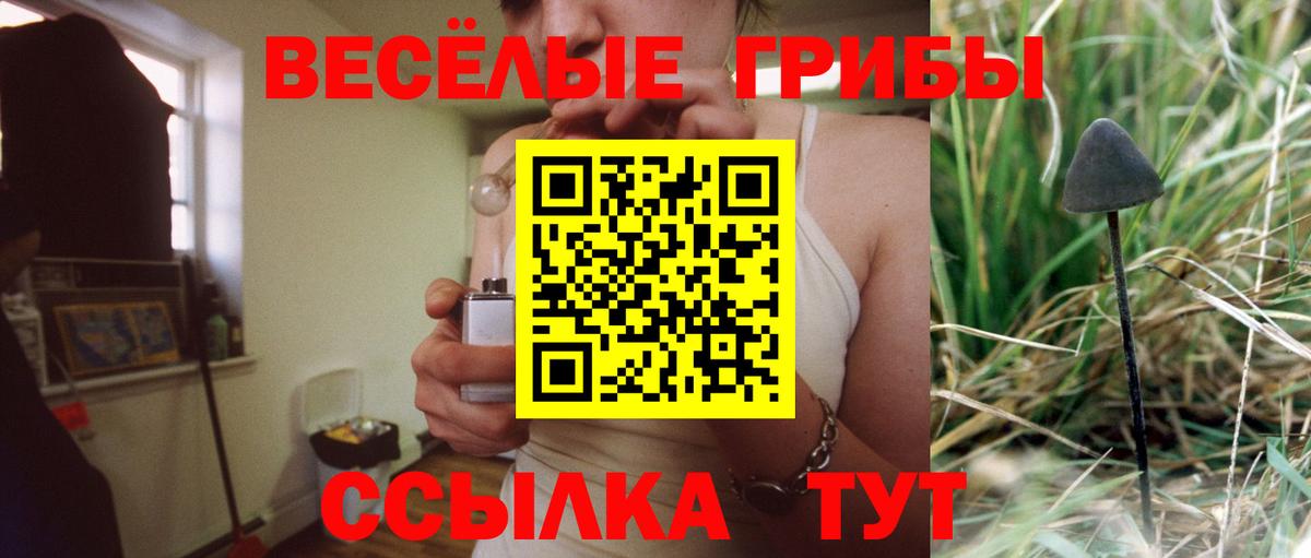 закладка  Галлюциногенные грибы Psilocybe  Вход с VPN  Галлюциногенные грибы Cubensis  Воткинск 