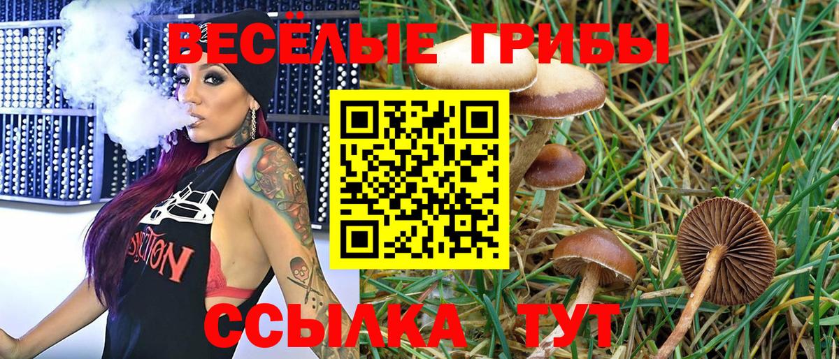 Псилоцибиновые грибы Psilocybine cubensis Воткинск